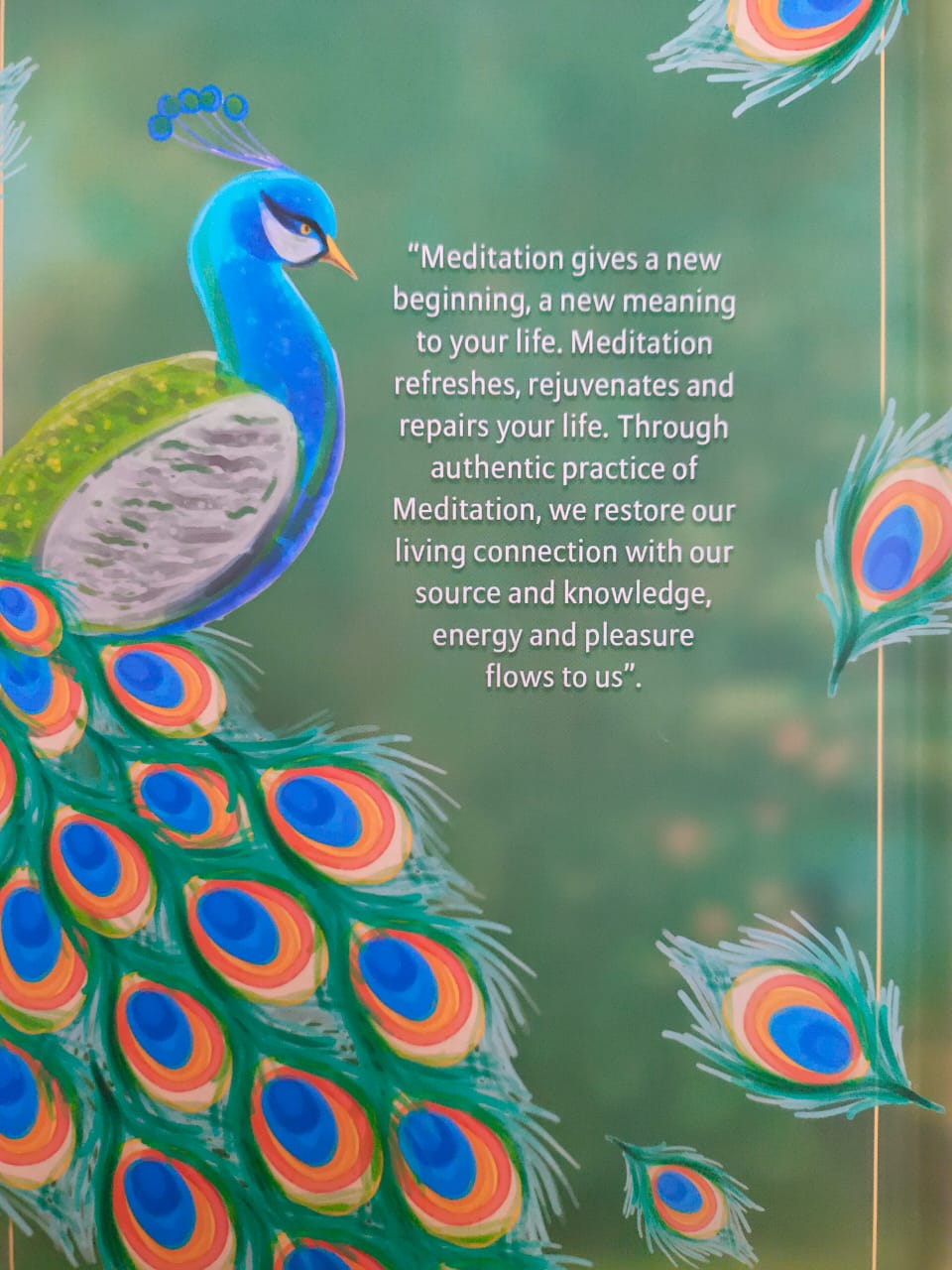 Meditation - A New Beginning - Dairy