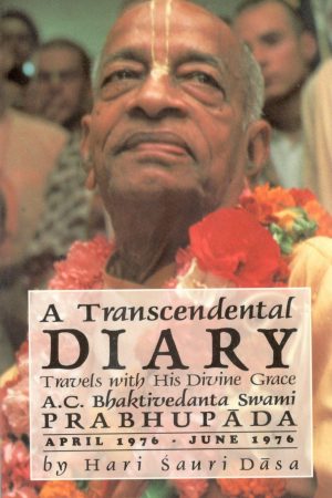 A Transcendental Diary - Vol. 2